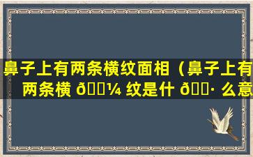 鼻子上有两条横纹面相（鼻子上有两条横 🌼 纹是什 🌷 么意思）